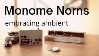 Ambient music // Monome Norns and field recording