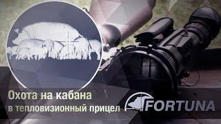 FORTUNA.ARMY (2011) - тепловизионный прицел, охота с тепловизором, тепловизор видео