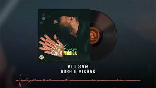 Ali Sam - Gorg O Mikhak OFFICIAL AUDIO | علی سام - گرگ و میخک