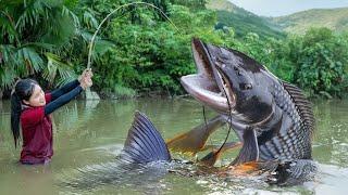 Harvesting Anabas Fish Goes to market sell - How to Cook Fish | Ly Thi Ngoc