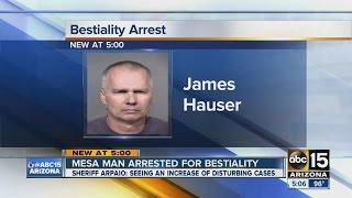 Mesa man arrested for bestiality in undercover sting