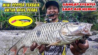 Casting of Big Hampala Barb Fish | Lure poppers for fishing hampala barb cloudy water