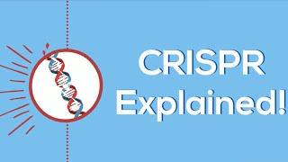 CRISPR Explained!