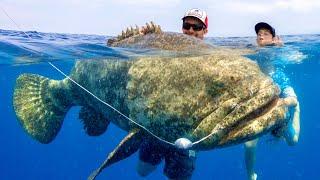 8 Year Old Catches OVER 1000lbs of Fish