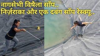 खेत तालाब में मिला नागसेभी विषैला और खतरनाक साँप..  Adventurous snake rescue by Madhu-Nirzara..