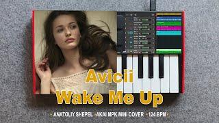 Avicii - Wake Me Up (Akai MPK mini cover)