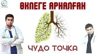 ӨКПЕҢІЗ СІЗГЕ РАХМЕТ АЙТАДЫ / ӨКПЕГЕ АРНАЛҒАН ЧУДО ТОЧКА / ӨКПЕГЕ АРНАЛҒАН ЖАТЫҒУ