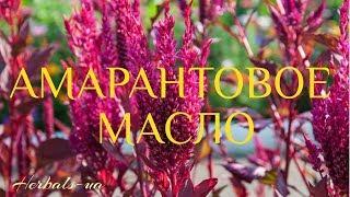 Амарантовое масло| Средство для долгой и качественной жизни