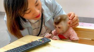 Monkey Puka reacts harshly because Mom won't let him go with her to the hospital