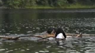 EIKO & KOMA: Dancing in Water: Rehearsal in the Delware River