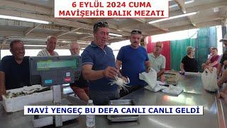 6 EYLÜL CUMA. MAVİŞEHİR MEZATA YİNE BİR MAVİ YENGEÇ GELDİ. BU DEFA CANLI CANLI.