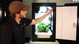 Hydroponic Grow Box works best! Growing kit by Supercloset