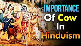 Importance Of Cow In Hinduism.