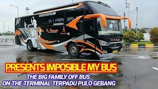 IMPOSIBLE !!! MY BUS OFF HARYANTO