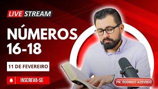 Números 16-18 (Dia 42) - Autoridade de Deus, Mediação de Cristo e Nosso Serviço Santificado