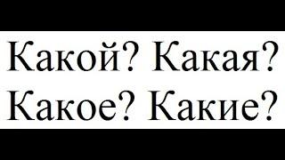 Какой Какая Какое Какие (#1)