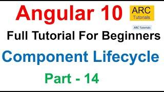 Angular 10 Tutorial #14 - Component Lifecycle Hooks | Angular 10 Tutorial For Beginners