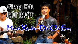 Mùa Xuân Đó Có Em - Phiên Bản Guitar Bolero Mái Lá | Anh Bình - Lão Nông Cần Thơ