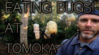 Tomoka Boys Trip - Eating BUGS, Camping, Biking, Hiking, Fishing, Foraging, and Gyotaku!