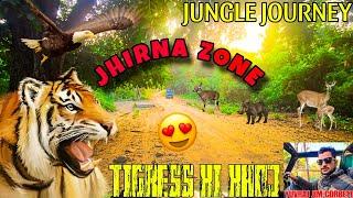 ALARM CALL HUI TIGER SAMNE NHI AAYA  JHIRNA ZONE JUNGLE SAFARI #yuvrajjimcorbett