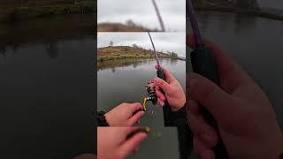 Форель на спиннинг в Нижегородской области #fishing #рыбалка #рыбалкавидео