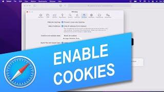 How to Enable Cookies in Safari on Mac, iPhone or iPad