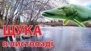 Ловля щуки в листопаді на річці Осіння рибалка на щуку Спінінг