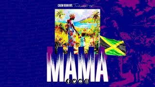 happy Mothers Day Mix 2024 / Dancehall reggae | calum beam intl