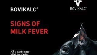 Bovikalc® - Signs of milk fever