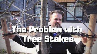 The Problem with Tree Stakes