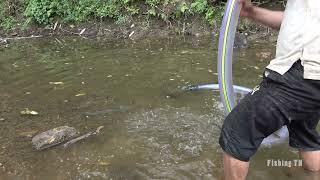 Catch Many Fish Using A Large Water Cannon Pump Sucks Water Out Of Puddle