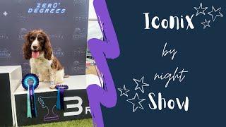 IconiX By Night 2023 Vlog | AGILITY UNDER THE STARS