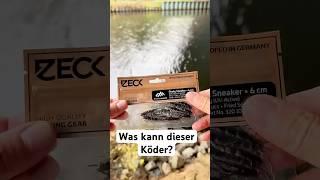 Die FISCHE eskalieren | SHAKY SNEAKER von ZECK im Test | #angeln #barschangeln #zeckfishing