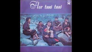 Pariwana (Sikuri) - Flor Tani Tani