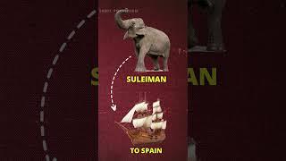 Spain-இற்கு India அனுப்பி வைத்த பெரிய பரிசு | Tamil Pokkisham #shorts