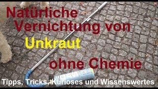 Unkraut erfolgreich entfernen mit Gloria Thermoflamm - Natürliche Unkrautbeseitigung ohne Chemie