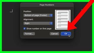 How to Add Page No in Word