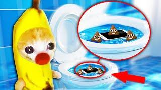 Banana Cat's Toilet Trouble: Phone Rescue Adventure with Apple Cat!  Baby Banana Cat Compilation 