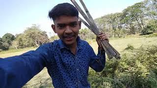 Assam Cricket Vlogby Sankar Baishya