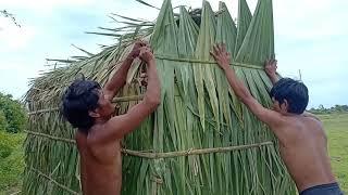 Construção primitiva Faça uma casa em folhas de palmeira