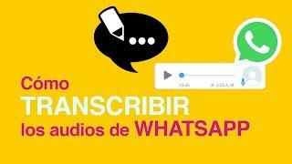 Cómo CONVERTIR los audios de WHATSAPP en textos