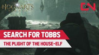 How to Search for Tobbs in Hogwarts Legacy - The Plight of the House Elf