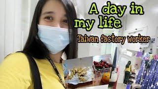 A day in my life as factory worker in Taiwan |Taiwan Factory Worker |Kamille Parairo