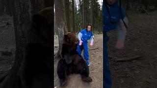 Маришку чуть не съел медведь     #shortsvideo #bear