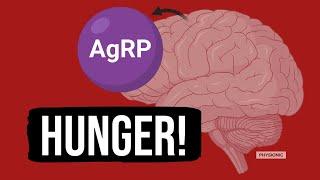 EX: Understanding Hunger and Neuroprotein AgRP