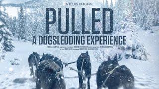 Pulled - A Dog Sledding Experience