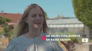 Reportage B2B pour myfood | agence goodway