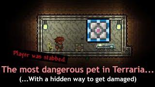 The most dangerous pet can hurt you... and never speak. ─ Terraria