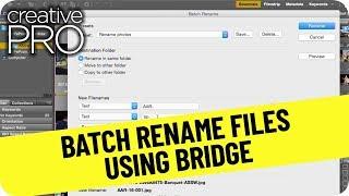 Batch Rename Files with Bridge ft. Andrea Swingley // Three Minutes Max