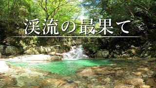 【神秘の源流域】源流イワナを求め…美しき大渓流の最果てに待っていたまさかの結末…【渓流釣り】